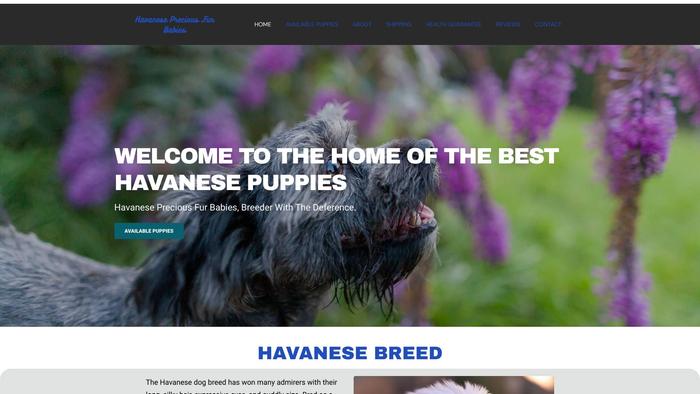 Havanesepreciousfurbabies.com - Havanese Puppy Scam Review