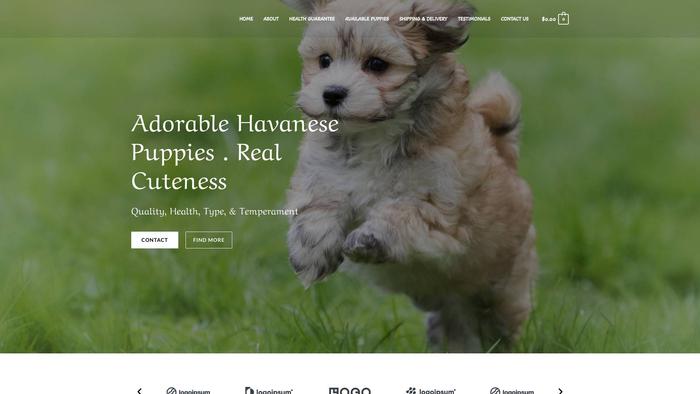 Havanesepups.online - Havanese Puppy Scam Review