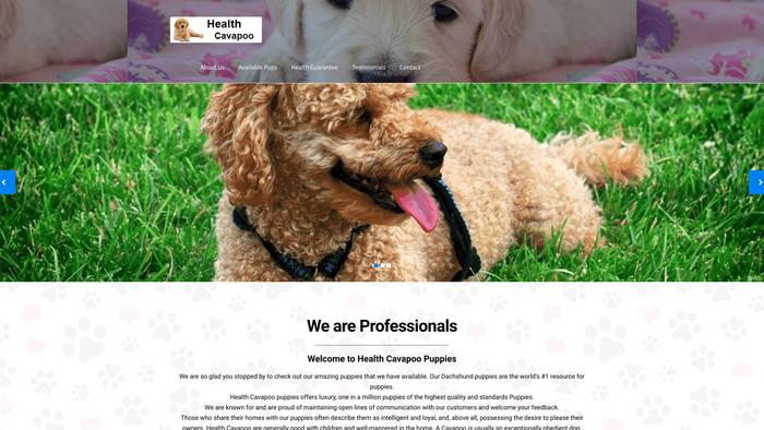 Healthycavapoo.com - Cavapoo Puppy Scam Review