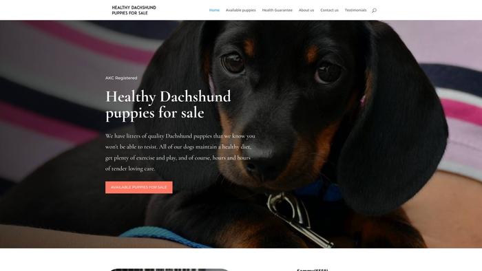 Healthydachshundpuppiesforsale.com - Dachshund Puppy Scam Review