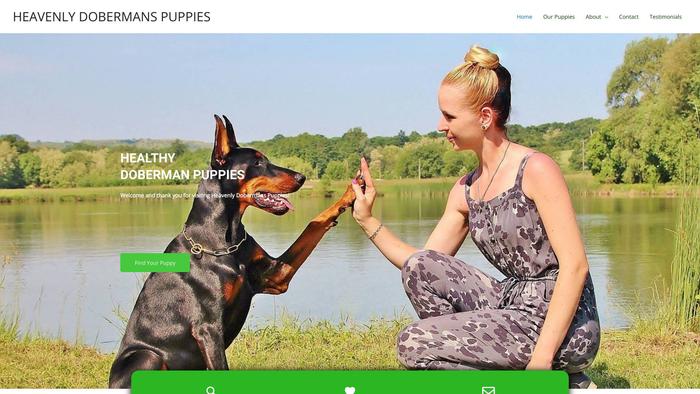 Heavenlydobermans.com - Doberman Pinscher Puppy Scam Review