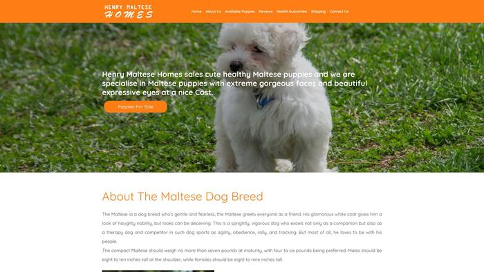 Henrymaltesehomes.com - Maltese Puppy Scam Review