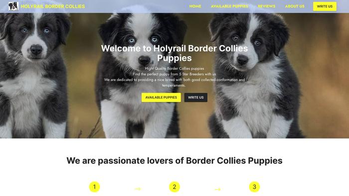 Holygrailbordercolliepuphome.com - Bordercollie Puppy Scam Review