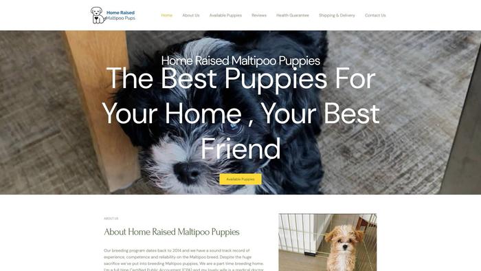 Homeraisedmaltipoopups.com - Maltipoo Puppy Scam Review