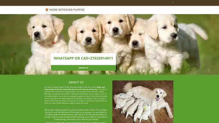 Homeretriverpuppies.com - Golden Retriever Puppy Scam Review