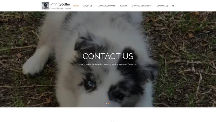 Infinitycolliepuppies.com - Bordercollie Puppy Scam Review