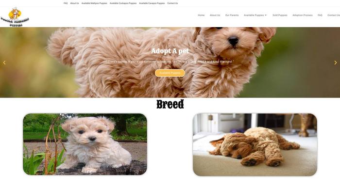 Infinitypoodle.com - Poodle Puppy Scam Review