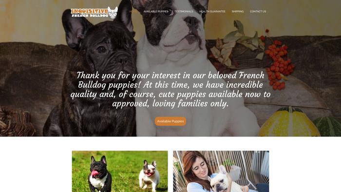 Inquisitivefrenchbulldog.com - French Bulldog Puppy Scam Review