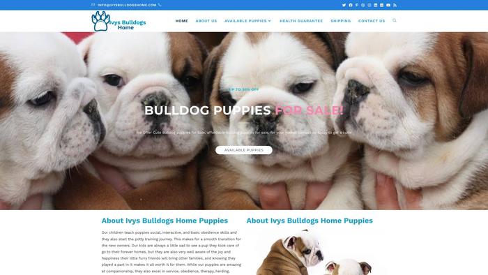 Ivysbulldogshome.com - Bulldog Puppy Scam Review