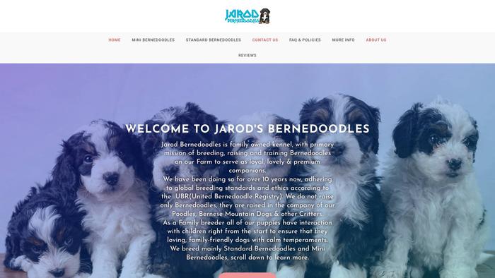 Jarodsbernedoodles.com - Bernedoodle Puppy Scam Review