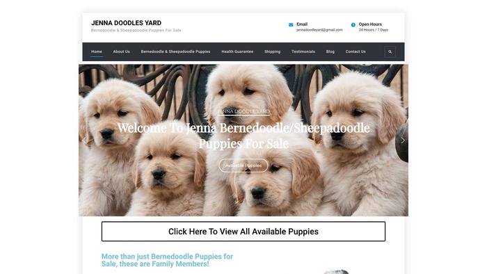 Jennadoodlesyard.com - Labradoodle Puppy Scam Review