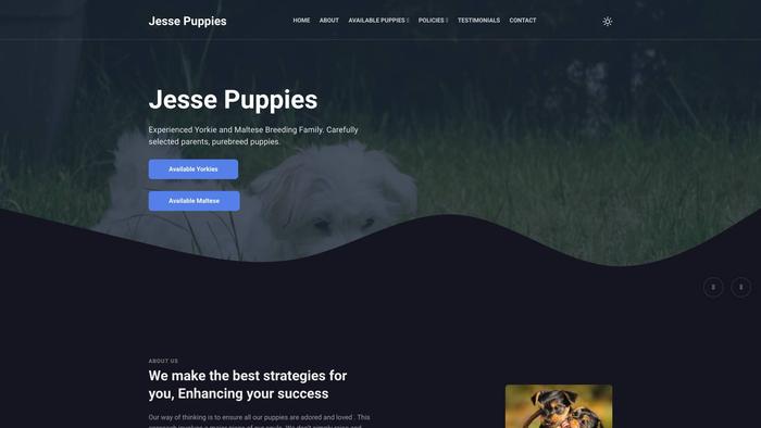 Jessepuppies.com - Yorkshire Terrier Puppy Scam Review