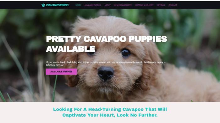 Jodiecavapoopuppies.com - Cavapoo Puppy Scam Review