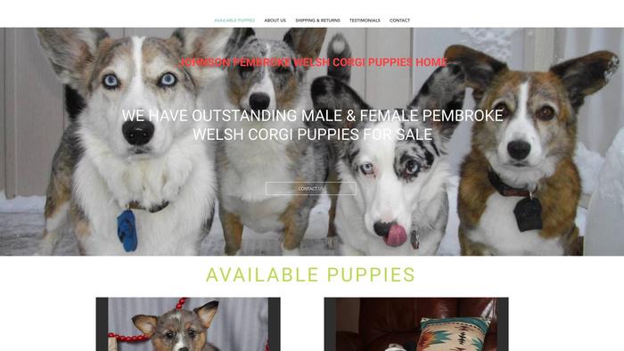 Johnsonpembrokewelshcorgipuppieshome.com - Corgi Puppy Scam Review