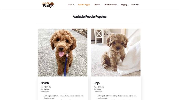 Josephpoodleshome.com - Poodle Puppy Scam Review