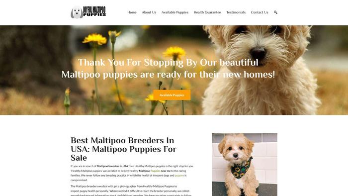 Joyfulmaltipoopuppies.com - Maltipoo Puppy Scam Review