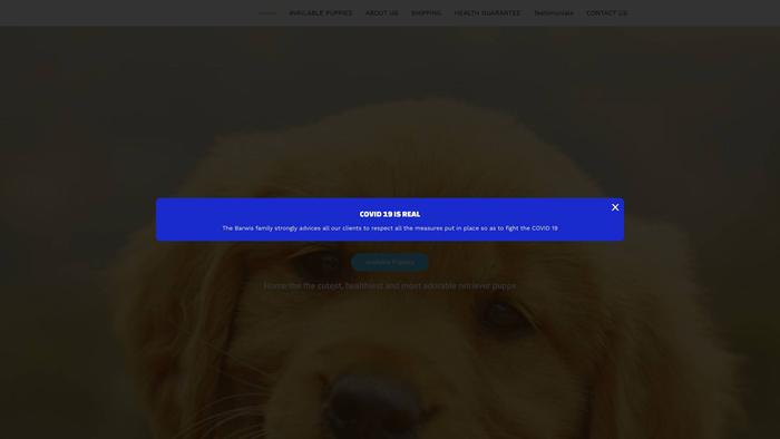 Joysgoldenretrievers.com - Golden Retriever Puppy Scam Review