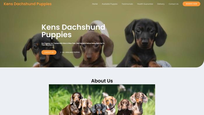 Kensdachshundpuppies.com - Dachshund Puppy Scam Review