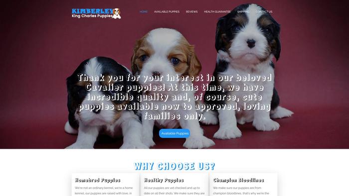 Kimberleykingcharlespuppies.com - Cavalier King Charles Spaniel Puppy Scam Review