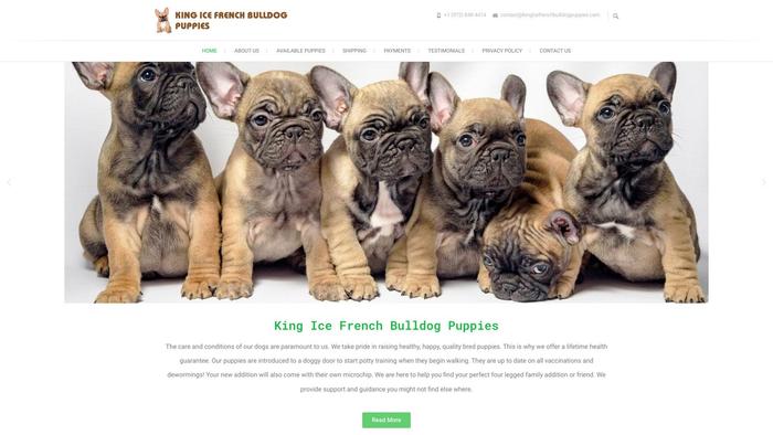 Kingicefrenchbulldogpuppies.com - French Bulldog Puppy Scam Review