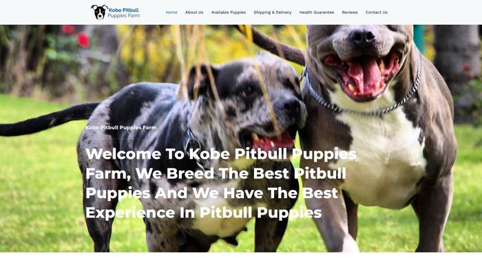 Kobepitbullpuppiesfarms.com - Pit Bull Puppy Scam Review