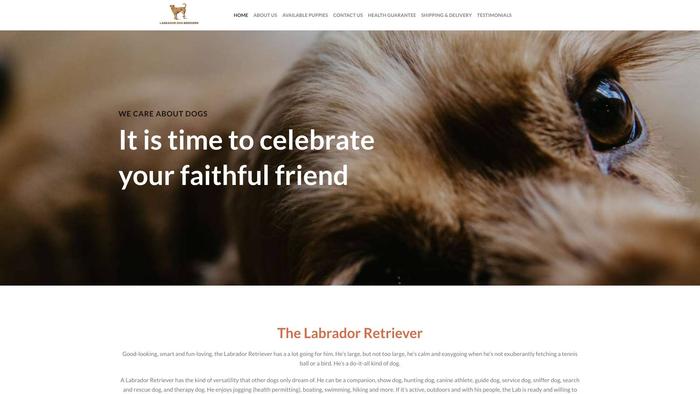 Labradordogbreeders.com - Golden Retriever Puppy Scam Review