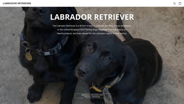 Labradorretrieversale.com - Golden Retriever Puppy Scam Review