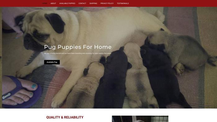 Linpugpuppiesforhome.com - Pug Puppy Scam Review