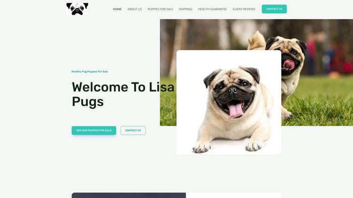 Lisapugs.com - Pug Puppy Scam Review