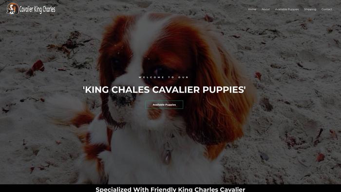 Louiscavalierkingcharlespuppies.com - Cavalier King Charles Spaniel Puppy Scam Review