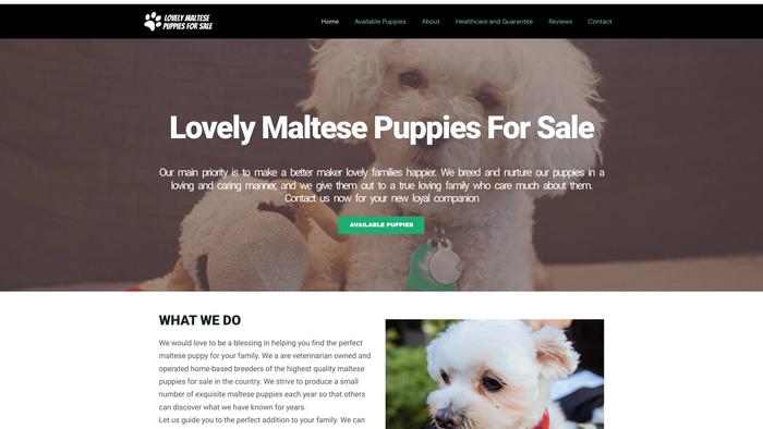 Lovelymaltesepuppiesforsale.com - Maltese Puppy Scam Review