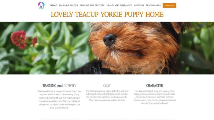 Lovelyteacupyorkies.com - Yorkshire Terrier Puppy Scam Review