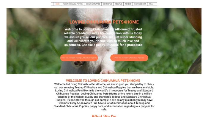 Lovingchihuahuapets4home.com - Chihuahua Puppy Scam Review