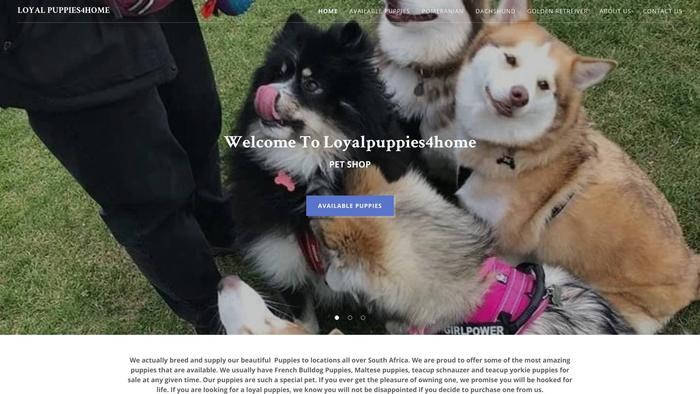 Loyalpuppies4home.com - Husky Puppy Scam Review