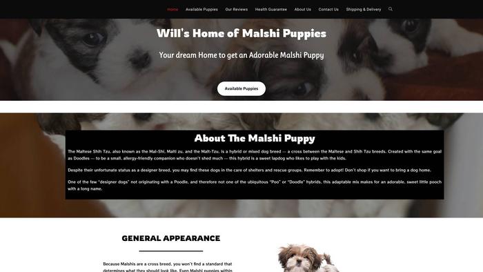 Malshwill.com - Maltese Puppy Scam Review