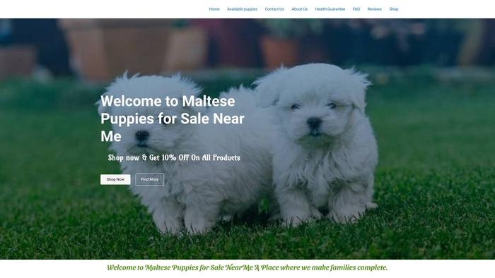 Maltesepuppiesforsalenearme.com - Maltese Puppy Scam Review