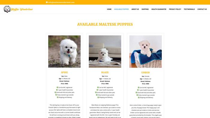 Maltesewonderland.com - Maltese Puppy Scam Review