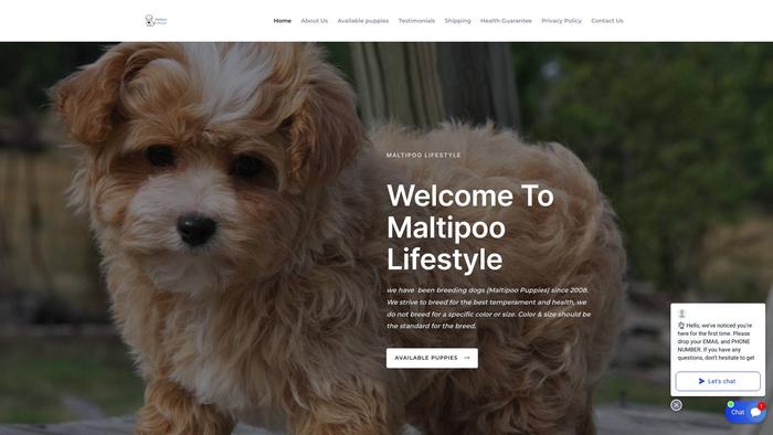 Maltipoo-lifestyle.com - Maltipoo Puppy Scam Review