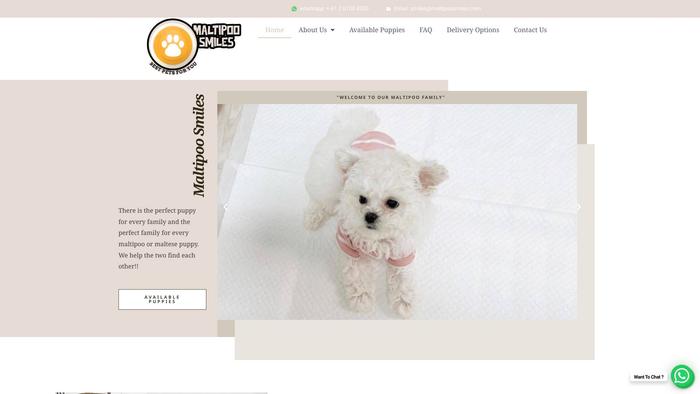 Maltipoosmiles.com - Maltipoo Puppy Scam Review