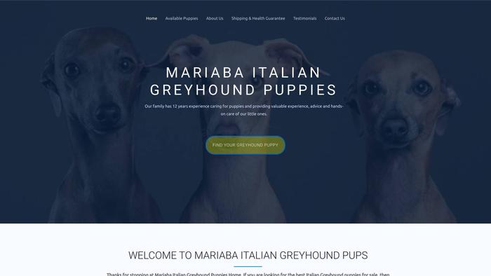 Mariabaitaliangreyhoundpups.com - Labrador Puppy Scam Review