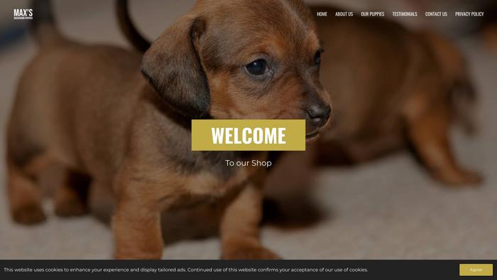 Maxsdachshundpuppies.com - Dachshund Puppy Scam Review