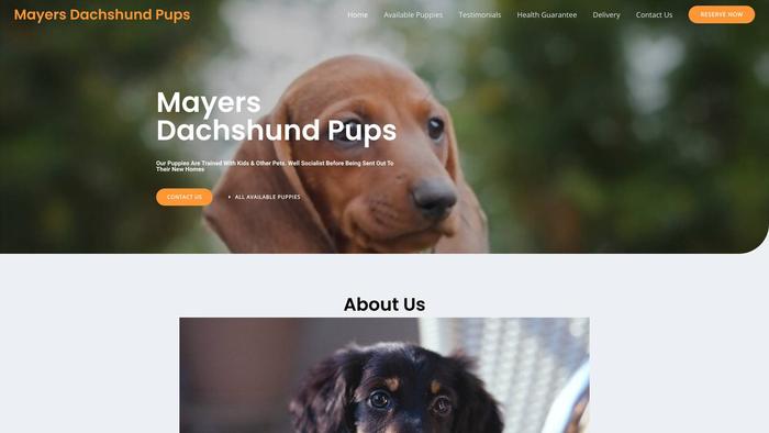 Mayersdachshundpups.com - Dachshund Puppy Scam Review