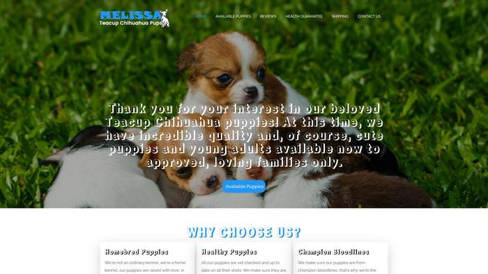 Melissateacupchihuahuapups.com - Chihuahua Puppy Scam Review