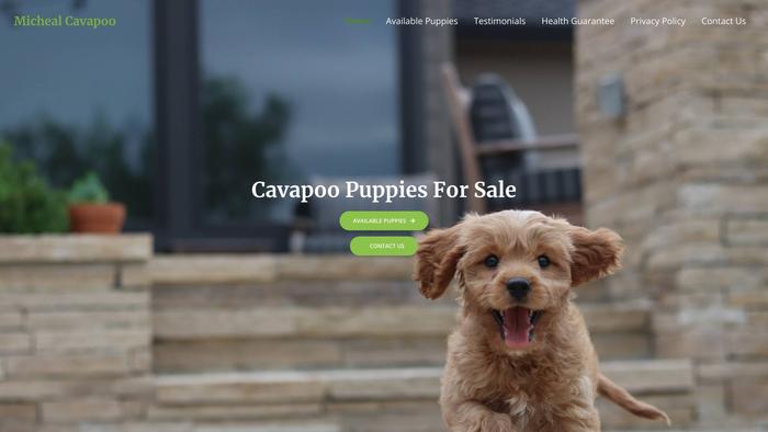 Michealcavapoo.com - Cavapoo Puppy Scam Review