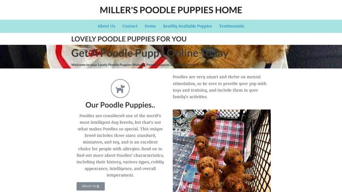 Millerspoodlehome.com - Poodle Puppy Scam Review