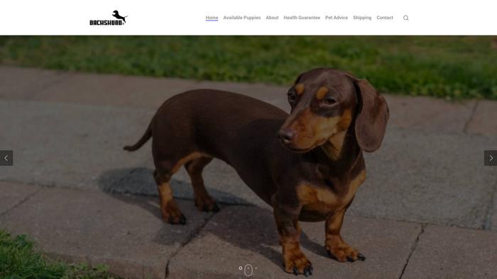 Minidachshund4loves.com - Dachshund Puppy Scam Review