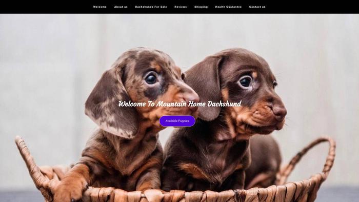 Mountainhomedachshund.com - Dachshund Puppy Scam Review