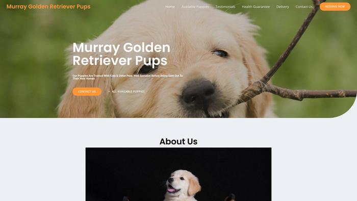 Murraygoldenretrieverpups.com - Golden Retriever Puppy Scam Review