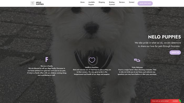 Nelopuppies.com - Cavapoo Puppy Scam Review