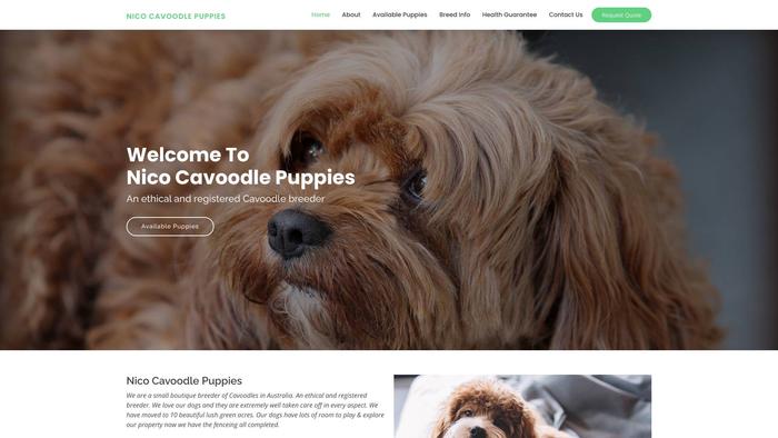 Nicocavoodlepuppies.com - Cavapoo Puppy Scam Review